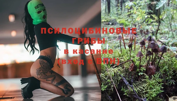 амф Дмитриев