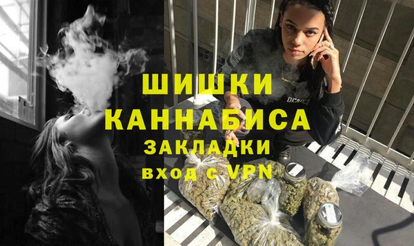 амф Дмитриев