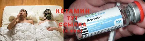 стаф Дмитровск