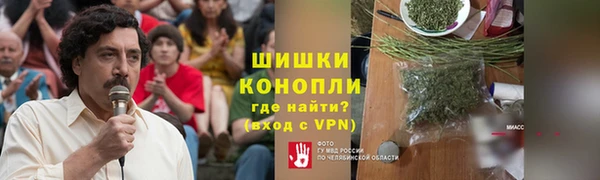 стаф Дмитровск