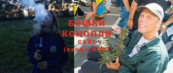 стаф Дмитровск