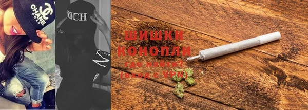 стаф Дмитровск