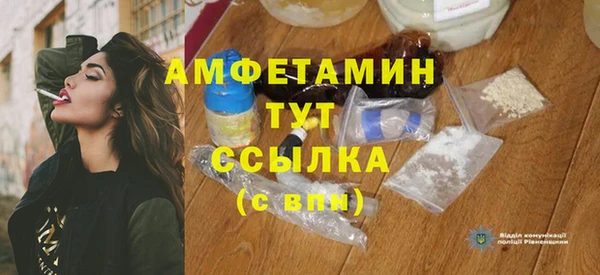 амф Дмитриев