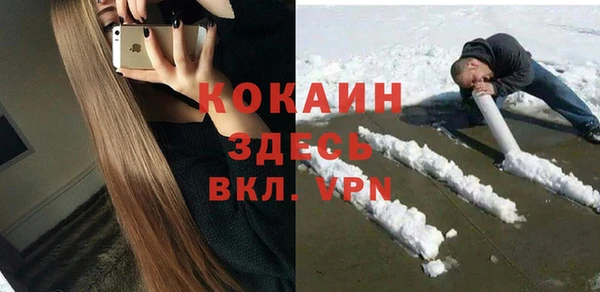 амф Дмитриев