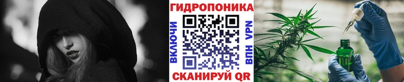 Конопля OG Kush  darknet какой сайт  Шлиссельбург 